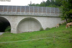 Talbrücke Thalgau Talbrücke Thalgau